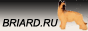Briard.RU Briard.RU