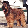 Estello Dalido, Bratislava, 3.10.03, photo: Martina Mikulova, 300x300p, 27kb