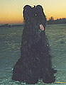 Garmonia, february 2003, photo: Slisere, 355x400p, 22kb