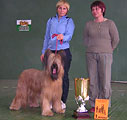 Monika - BOB of National clubshow, 23.05.04, Moscow, her breeder Olga Pokidysheva, the judge Corinne Debrouwer and the Cup of Jari Pellas, photo: Volkova, 400x400p, 40kb