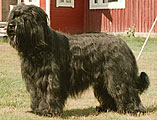 Mökö, july 2002, photo: Tikkanen, 380x300p, 36kb