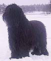 Mökö, 15.12.02, photo: Tikkanen, 300x334p, 16kb