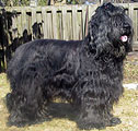 Mökö, 4.05.03, photo: Tikkanen, 400x380p, 53kb