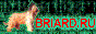 Banner Briard.RU, 88�31�, the address: http://briard.ru/images/Banner4.gif
