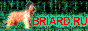 Banner Briard.RU, 8831, the address: http://briard.ru/images/Banner4.gif