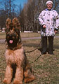 Evgenia and Beaute, SPb, april 2003, photo: Golynia, 302x450p, 42kb