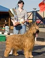 Beaute du Champ d'Ardoye - BOB of Russian BriardClubshow 2007 (with me and our Cup), photo: Dorokhin, 320x450p, 40kb