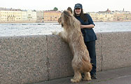 The quay of river Neva, Mohnatoe Chudo Dunkan McLeod with his owner Olga, 26.06.04, photo: Bryzgalov, 500x300p, 45kb The quay of river Neva, Mohnatoe Chudo Dunkan McLeod with his owner Olga, 26.06.04, photo: Bryzgalov, 500x300p, 45kb