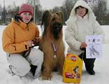 The Ring Championship of North-West of Russia, briard Monika - 1st place in group B, photo: O.Bulynia, 600x500p, 40kb