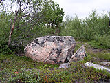 Single stones - a customary landscape on Kola peninsula. Relicts of a drift epoch. Photo: Saprykin, 350x262p, 47kb