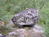 Single stones - a customary landscape on Kola peninsula. Relicts of a drift epoch. Photo: Saprykin, 334x250p, 46kb