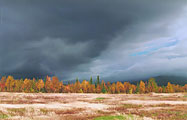 autumn sky, photo: Wineshenker, 500x321p, 31kb