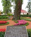Petrodvorets, the oak-tree of Ekaterina I. Photo: Prokhorova 2006, 300x400p, 40kb Petrodvorets, the oak-tree of Ekaterina I. Photo: Prokhorova 2006, 300x400p, 40kb