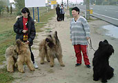 Me with Beaute & Apollo and Svetlana Devald with Gwendolen, the frontier Byelorussia-Poland, photo: Kutchin, 329x250p, 24kb