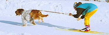 Emma and Elena Kozlova, Skijoring Championship of Kirovsk, distance 100m, 7.03.04, photo: Trubina, 500x224p, 37kb