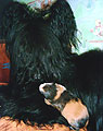 Euripid and piggy Fil, apr 2005, photo: Mednova, 300x400p, 40kb