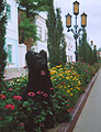 Gelios in the flower-bed, 08.03, the vacation in town Feodosia (Ukraina), photo: Kozlova, 294x400p, 41kb