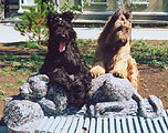 Gelios and Apollo on the jaguar, August 2002, Black See, photo: Kozlova, 419x300p, 60kb.