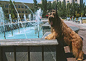 Apollo at the fountains, Berdyansk (Black See), August 2001, photo: Kozlova, 397x300p, 55kb