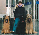 Me, Monika, Gelios and Apollo in the station of Kiev, 16.12.01, photo: Kozlova, 440x400p, 51kb