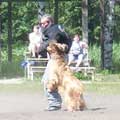 briard Monika, photo: Alexandrova, 350x350p, 35kb briard Monika, photo: Alexandrova, 350x350p, 35kb