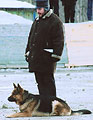 Germ.sh. Irk and his owner Mikhail Liskov, 2nd place, photo: Balabkina, 29kb, 301x400p.