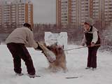 Aa, photo: © www.dressirovka.net, 400x300p, 31kb