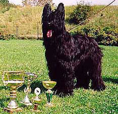 + BabyKasiterit.jpg +