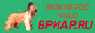   , 8831, : http://briard.ru/images/Banner2.jpg