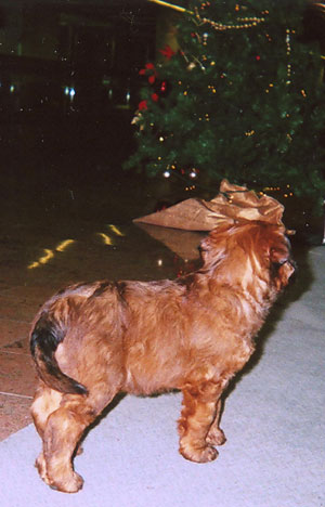 + Beauteaeroport.jpg +