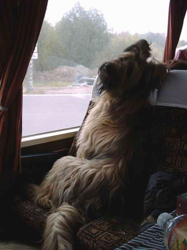 + Beauteautobus2.jpg +