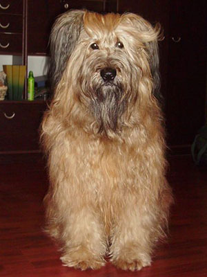 + CharodeiBerta03.jpg +