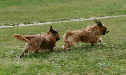 + DafnaDunkan5.jpg +