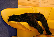 Darsi, ~10 months, photo: Bagina, 400x300p, 33kb