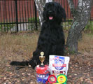 Darsi, sent 2005, photo: Bagina, 300x300p, 40kb