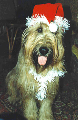 + DunkanDedMoroz.jpg +