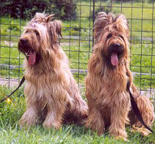 + DunkanDorian2.jpg +