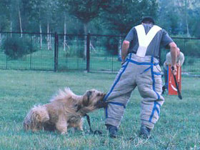 + Dunkanwork10.jpg +