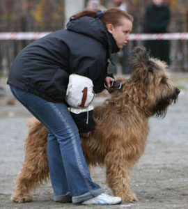 + DzholiAnzhio01.jpg +