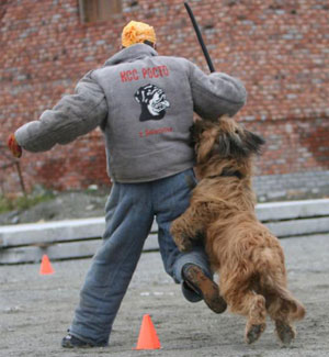 + DzholiAnzhio03.jpg +