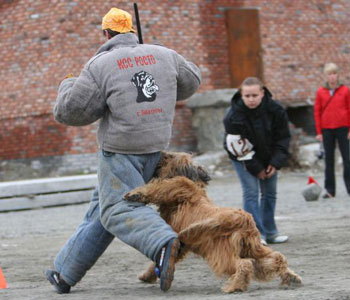 + DzholiAnzhio04.jpg +