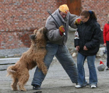 + DzholiAnzhio05.jpg +