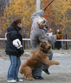 + DzholiAnzhio06.jpg +