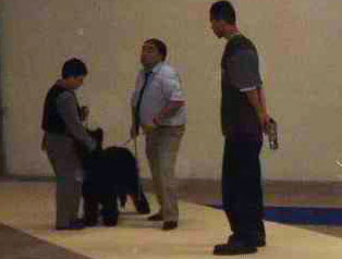 + EW03Gwenaring.jpg +