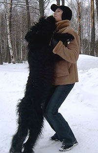 + EuripidInna1.jpg +