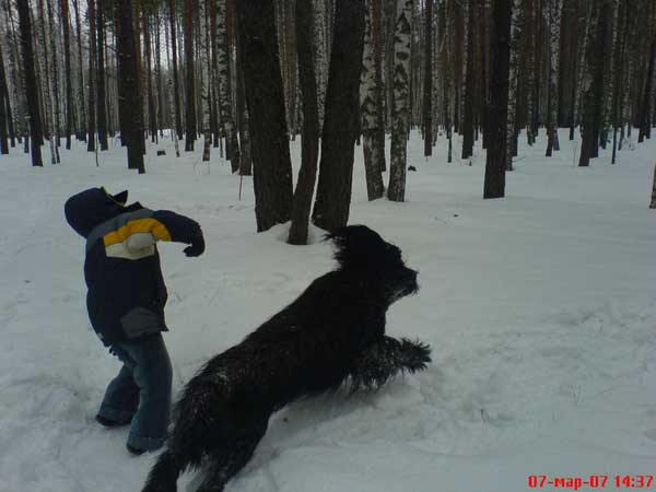 + EuripidMisha11.jpg +