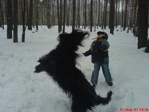 + EuripidMisha13.jpg +