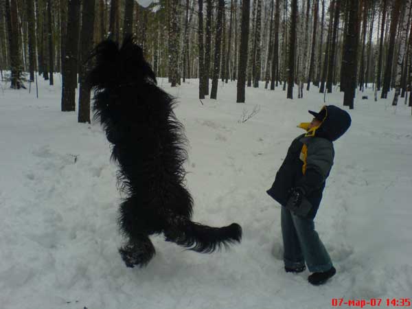 + EuripidMisha14.jpg +