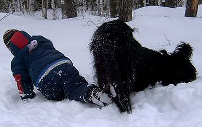 + EuripidMisha3.jpg +