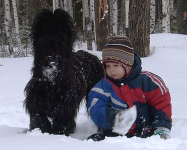 + EuripidMisha6.jpg +